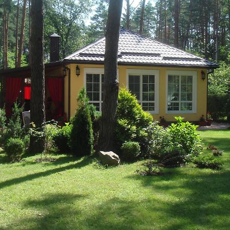 Domik V Lesy Guest House Lyutezh Exterior photo