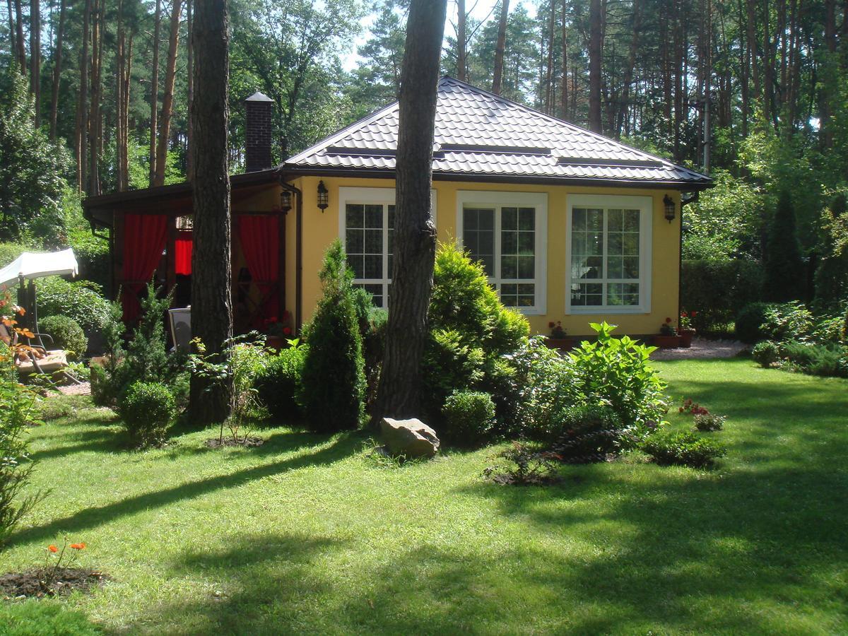 Domik V Lesy Guest House Lyutezh Exterior photo
