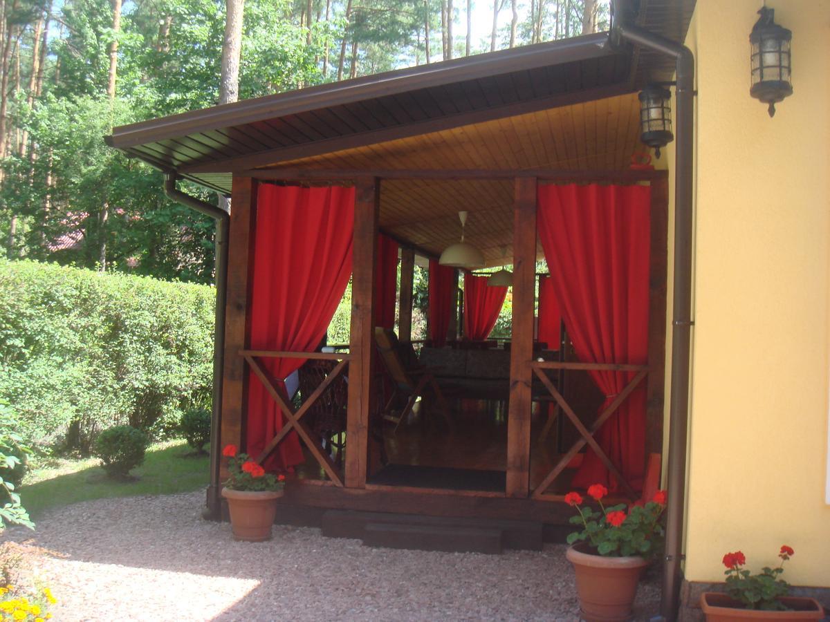 Domik V Lesy Guest House Lyutezh Exterior photo