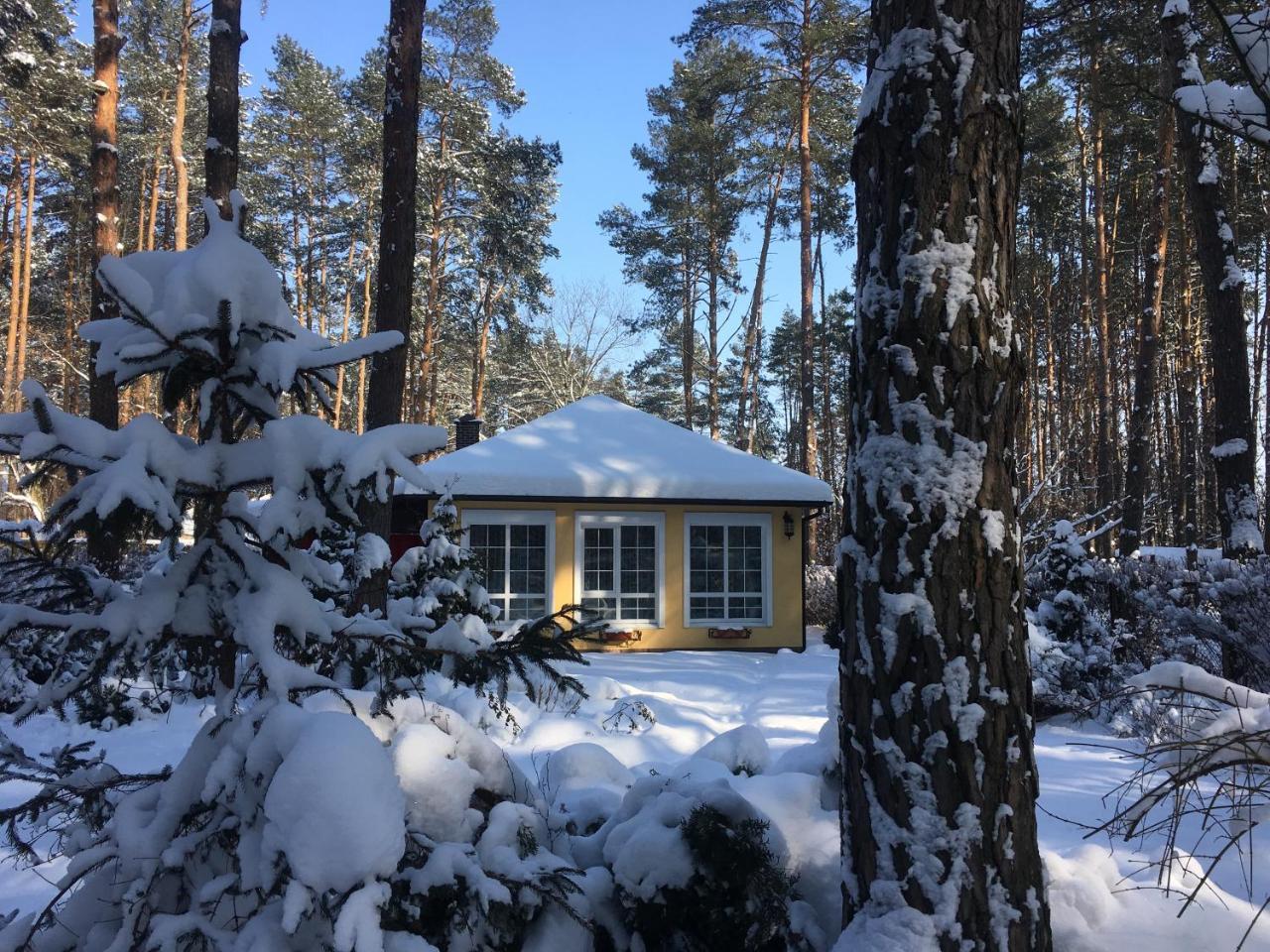 Domik V Lesy Guest House Lyutezh Exterior photo